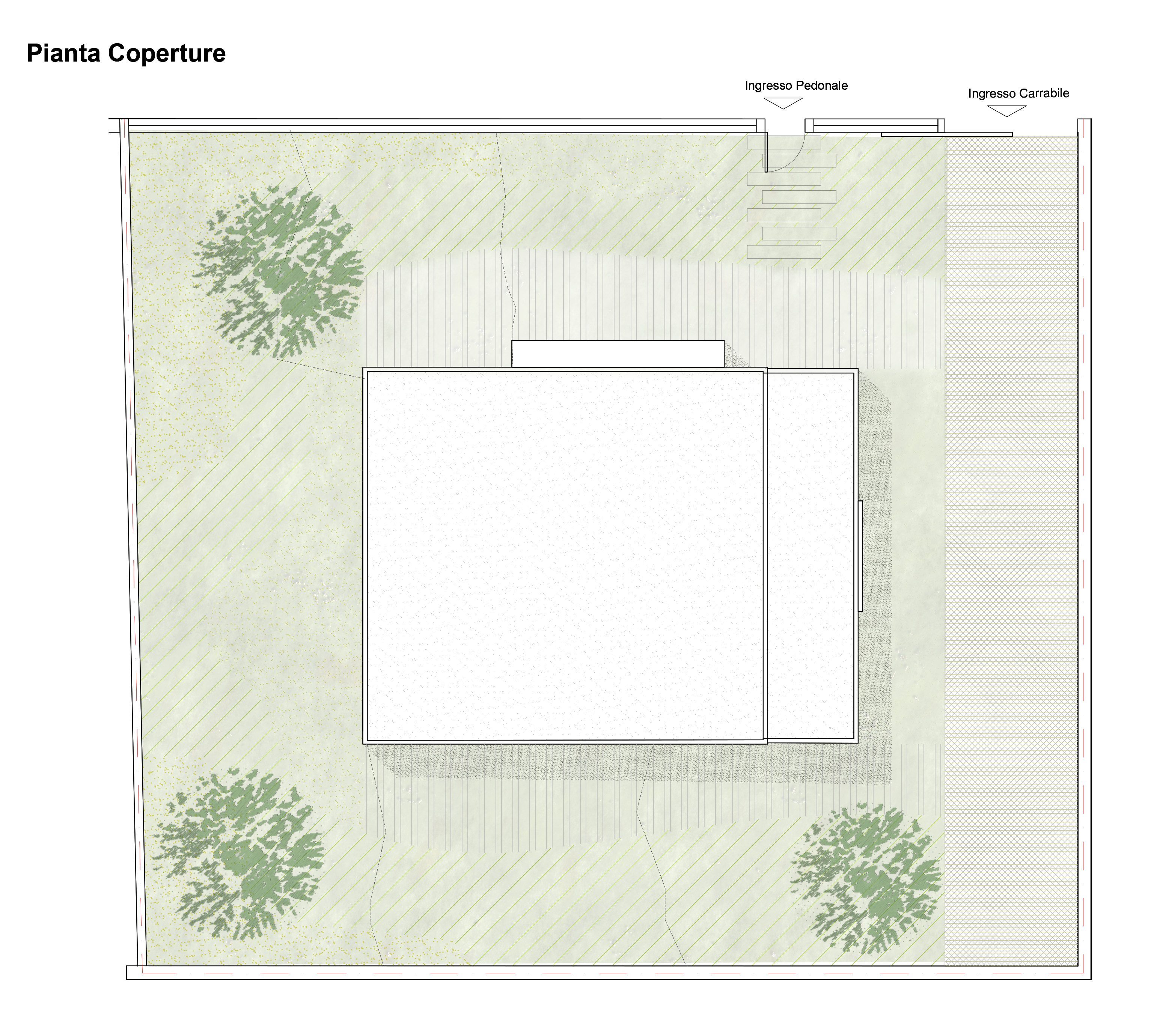 Piante Coperture.jpg